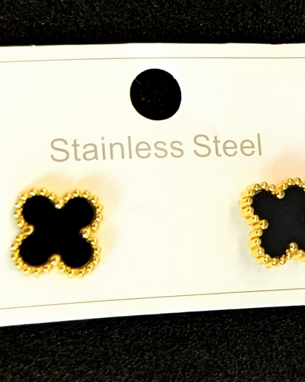 Pair of earrings Stainless Steel