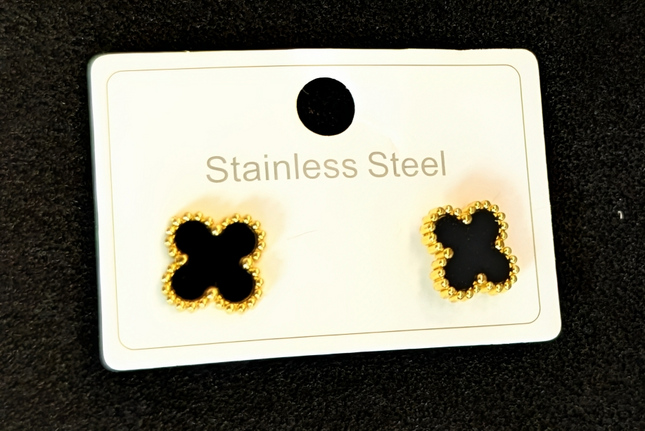 Pair of earrings Stainless Steel