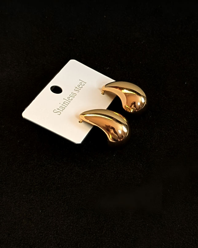 stainless steel earrings