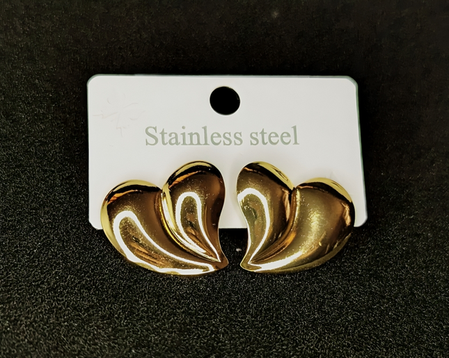 pair of stainless steel earrings
